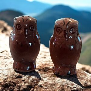 Vintage Whimsical Kitschy MCM Glossy Owl Salt Pepper Shakers